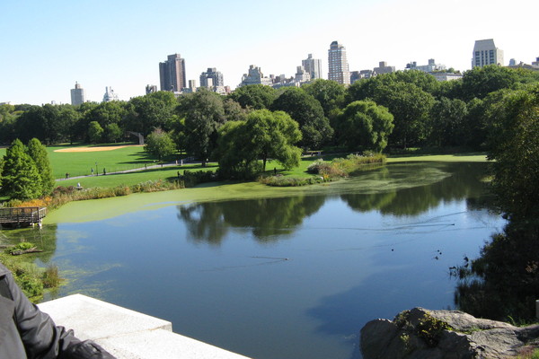 https://www.heikki-valisuo.fi/kuva/templates/xml/Bruxelles/NewYork/central-park-1.JPG
