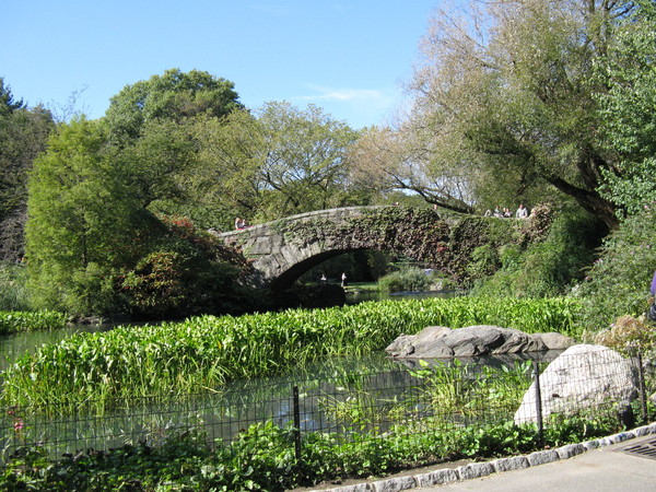 https://www.heikki-valisuo.fi/kuva/templates/xml/Bruxelles/NewYork/central-park-2.JPG