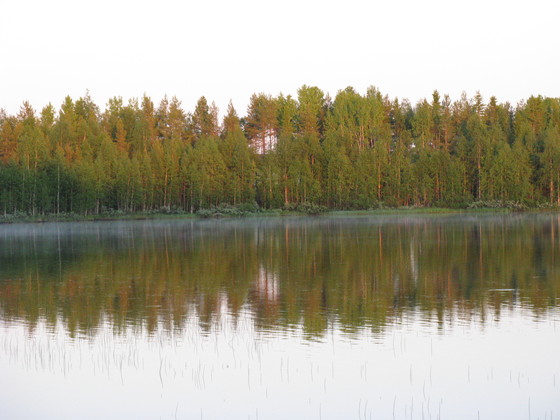 https://www.heikki-valisuo.fi/kuva/templates/xml/francais/Photos-de-Laponie/IMG_3641.JPG