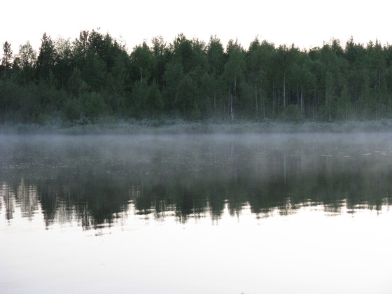 https://www.heikki-valisuo.fi/kuva/templates/xml/francais/Photos-de-Laponie/IMG_3646.JPG