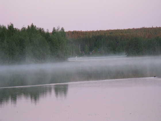 https://www.heikki-valisuo.fi/kuva/templates/xml/francais/Photos-de-Laponie/IMG_3659.JPG