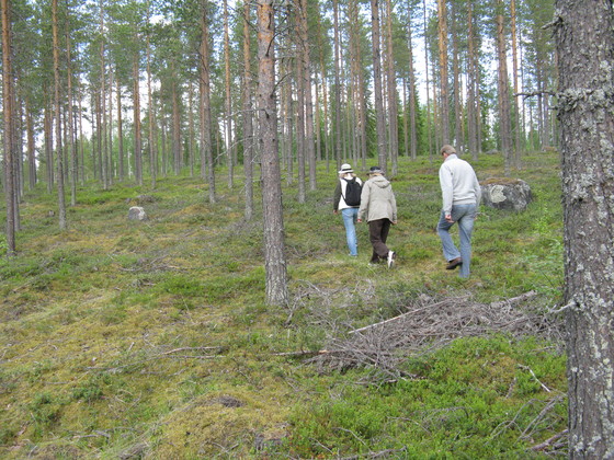 https://www.heikki-valisuo.fi/kuva/templates/xml/francais/Photos-de-Laponie/IMG_3720.JPG