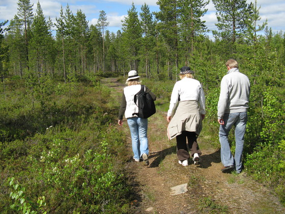 https://www.heikki-valisuo.fi/kuva/templates/xml/francais/Photos-de-Laponie/IMG_3732.JPG
