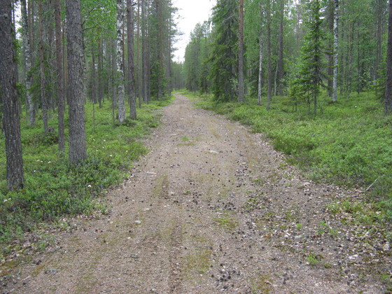 https://www.heikki-valisuo.fi/kuva/templates/xml/francais/Photos-de-Laponie/IMG_3752.JPG