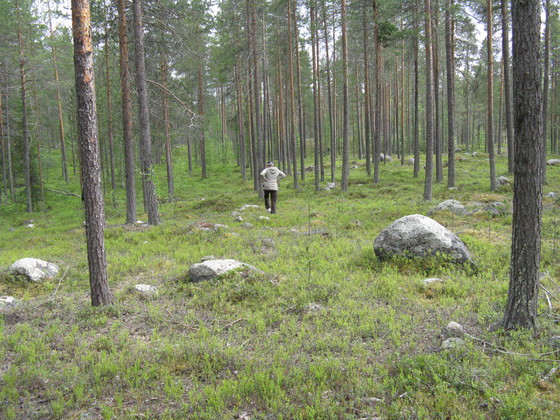 https://www.heikki-valisuo.fi/kuva/templates/xml/francais/Photos-de-Laponie/IMG_3757.JPG