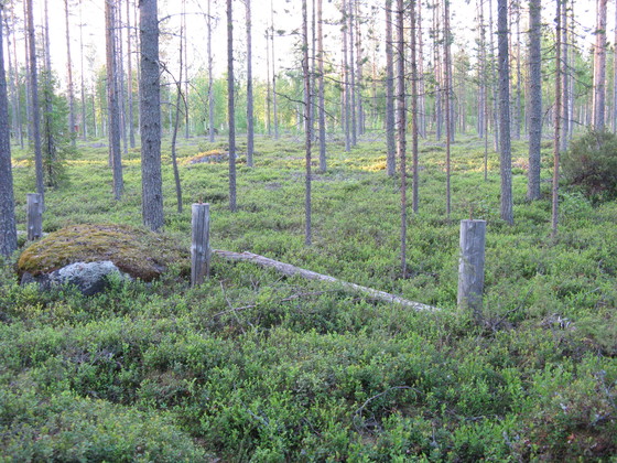 https://www.heikki-valisuo.fi/kuva/templates/xml/francais/Photos-de-Laponie/IMG_3862.JPG
