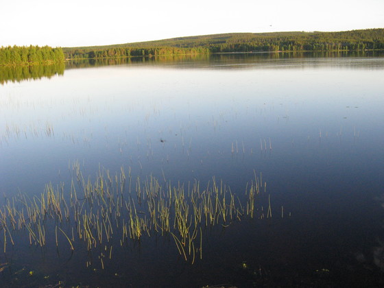 https://www.heikki-valisuo.fi/kuva/templates/xml/francais/Photos-de-Laponie/IMG_3870.JPG