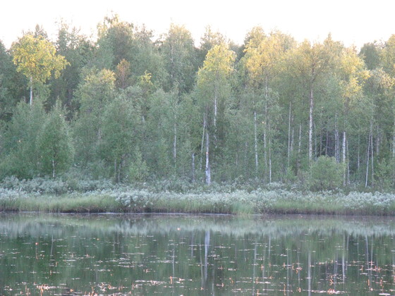 https://www.heikki-valisuo.fi/kuva/templates/xml/francais/Photos-de-Laponie/IMG_3871.JPG