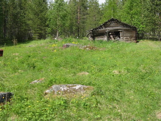 https://www.heikki-valisuo.fi/kuva/templates/xml/francais/Photos-de-Laponie/img_0192.jpg